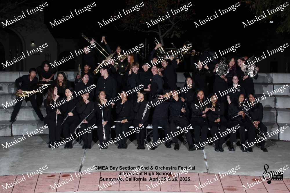 Musical Images